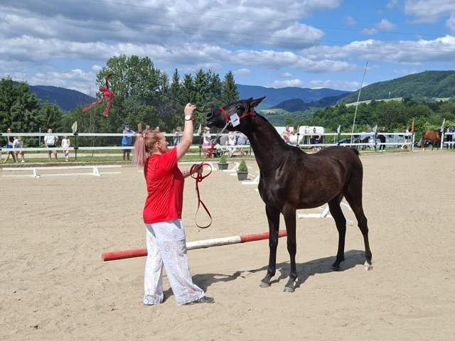 646e492d-af83-4540-8342-7fa8ecbe8ed9